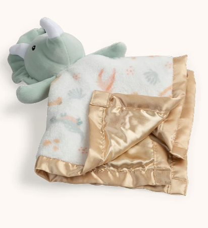 Mr. Rex Security Blanket